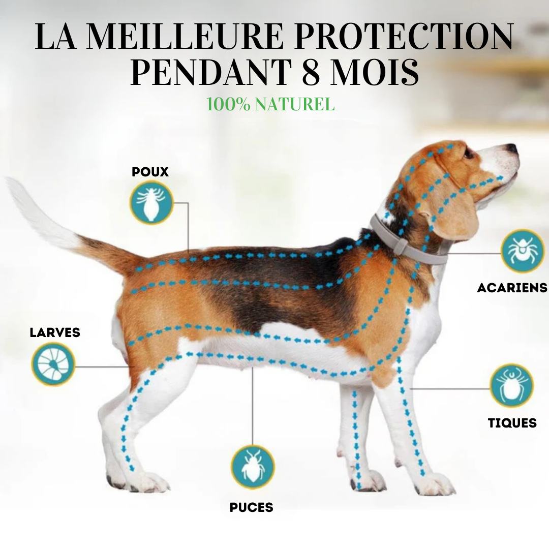 BIO-COLLIER™ 8+ Mois Protection Naturelle Anti-Puces, Tiques & Moustiques